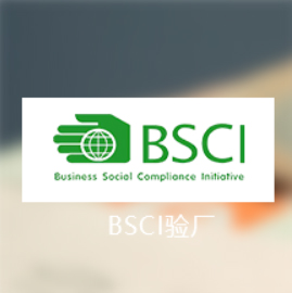 BSCI验厂